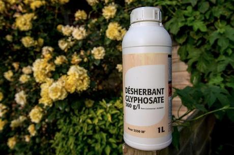 la ruse de l'histoire