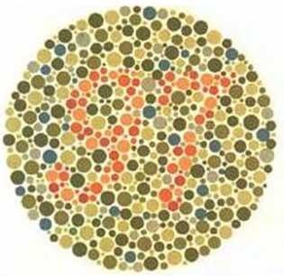 Aller Voir Barbie Entre Conservateurs Aller Voir Barbie Entre Conservateurs