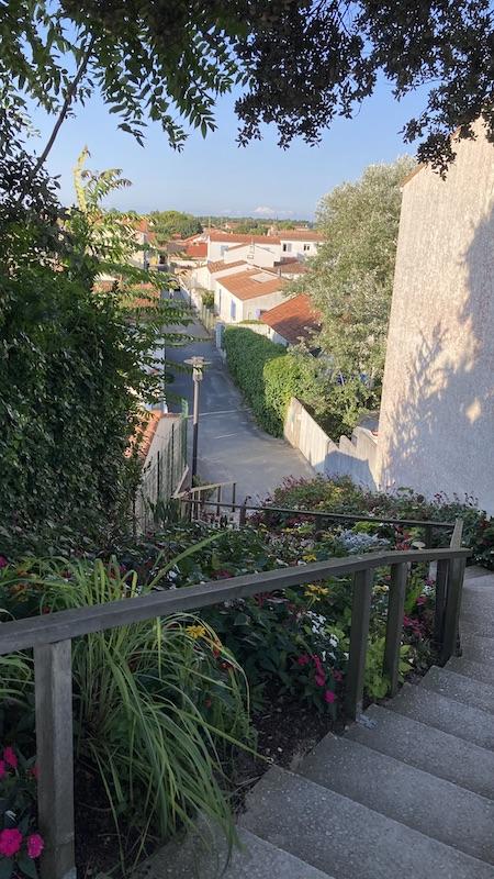 Petit coup d’œil … [19]