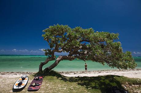 L’île Maurice, un choix judicieux pour les entreprises du secteur de la santé