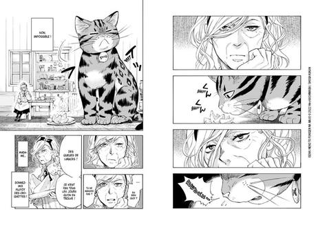 Le gros chat et la sorcière grincheuse