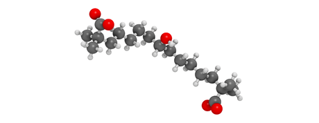 atp créatine