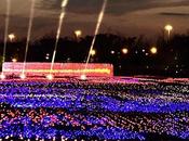 Canada Terrebonne Festival Fleurs