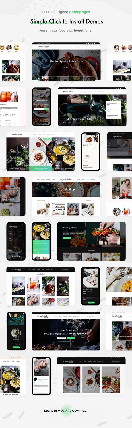 TinySalt – Thème WordPress pour blog alimentaire personnel TinySalt - 12+ pages d'accueil.