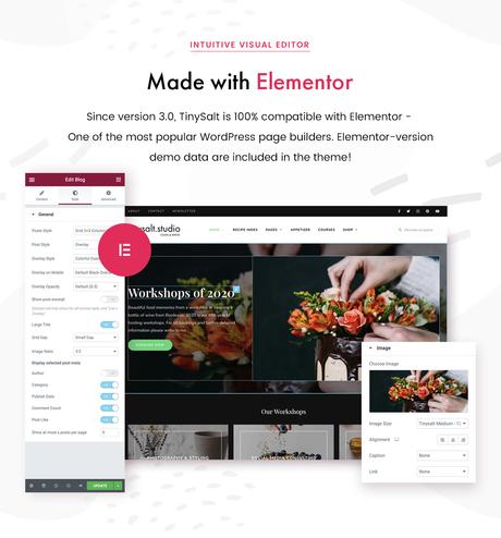 TinySalt – Thème WordPress pour blog alimentaire personnel TinySalt – Compatible avec Elementor.