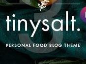 TinySalt Thème WordPress pour blog alimentaire personnel