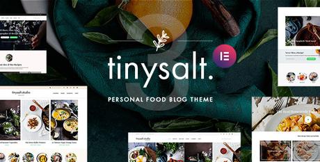 TinySalt – Thème WordPress pour blog alimentaire personnel