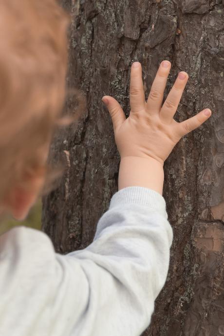 main bébé qui touche tronc arbre