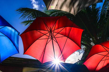 Pourquoi l’île Maurice est une destination de choix pour les entreprises du secteur de l’éducation Pourquoi l’île Maurice est une destination de choix pour les entreprises du secteur de l’éducation