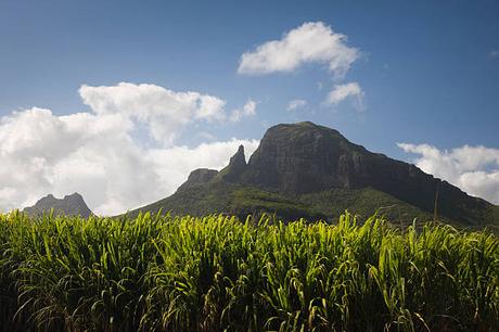L’Île Maurice – Le Paradis Tropical que les Suisses ne peuvent Résister L’Île Maurice – Le Paradis Tropical que les Suisses ne peuvent Résister