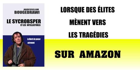 MON ESSAI, LE SYCROBSPER ET LES INTELLECTUELS, EST DISPONIBLE SUR AMAZON