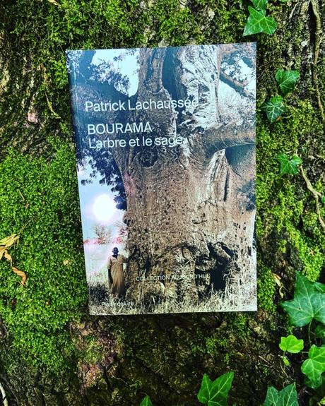 [SP]J’ai lu: BOURAMA L’arbre et le sage de Patrick Lachaussée