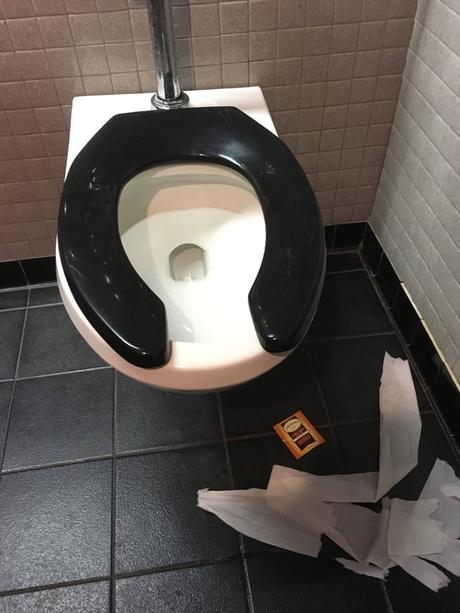 Ta Toilette Mixte Ta Toilette Mixte