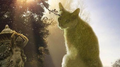 Divers - Chats arbustes Divers - Chats arbustes