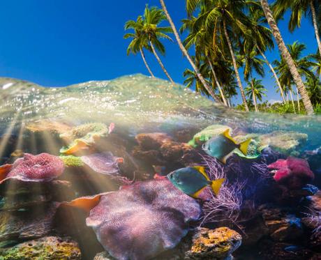 L’île Maurice – une Destination de Rêve pour un Mariage à l’Étranger L’île Maurice – une Destination de Rêve pour un Mariage à l’Étranger