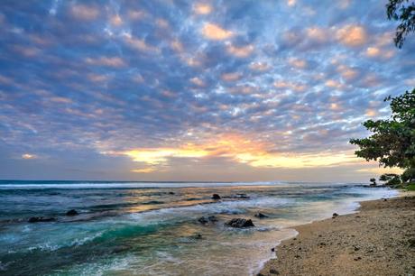 Pourquoi la Suisse tombe sous le Charme de l’Île Maurice Pourquoi la Suisse tombe sous le Charme de l’Île Maurice