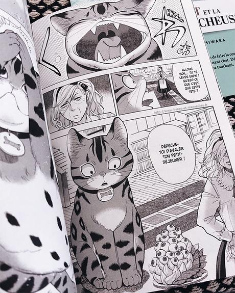 Manga Seinen : Le gros chat et la sorcière grincheuse