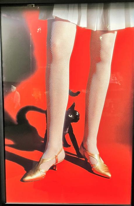 Musée Maillol exposition  » Elliot Erwitt  » depuis le 23 Mars 2023. dernier jour le 24 Septembre 2023.