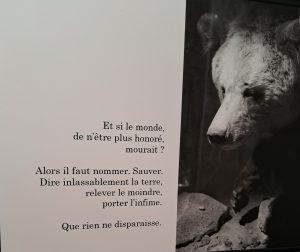 Au monde, Jean-Philippe Jarlaud (suite) Au monde, Jean-Philippe Jarlaud (suite)