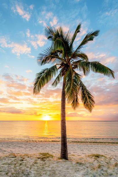 Pourquoi l’île Maurice est l’endroit idéal pour une vie zen