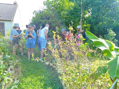 Visite du jardin par des étudiants en maraîchage bio