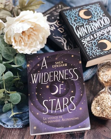 Roman Young Adult : A wilderness of stars