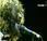 Beatlemania Soundgarden Comment Beatles façonné trajectoire musicale Chris Cornell