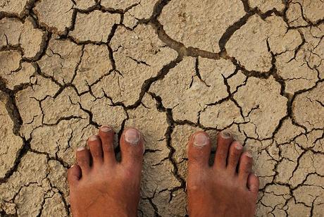 Charity Hub – WordPress à but non lucratif/collecte de fonds Imagine a world without trees