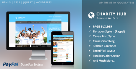 Charity Hub – WordPress à but non lucratif/collecte de fonds Charity Hub – WordPress à but non lucratif/collecte de fonds