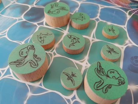 Test et avis d'Aquatika chez jeux FK 21 Test et avis d'Aquatika chez jeux FK