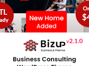 Bizup Thème WordPress pour conseil entreprises