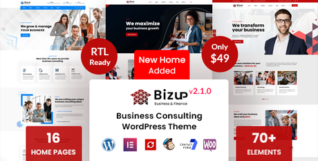 Bizup – Thème WordPress pour le conseil aux entreprises