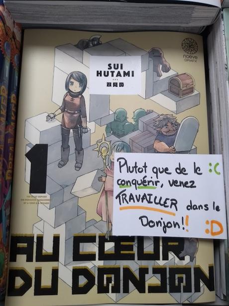 Au coeur du donjon T1