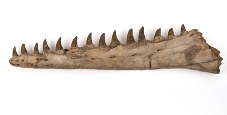 Récits d'objets : concours d'écriture, 3e édition !