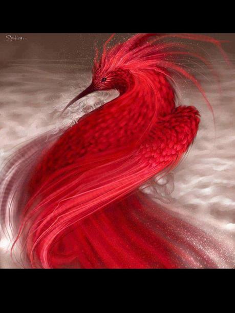 Divers - Les oiseaux de Madagascar - 2