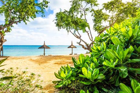 L’île Maurice pour les Artistes – Un Carrefour d’Inspiration L’île Maurice pour les Artistes – Un Carrefour d’Inspiration