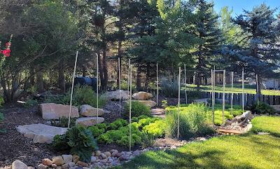 Notre meilleur été à Park City !