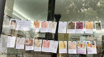 REŸS le glacier roi