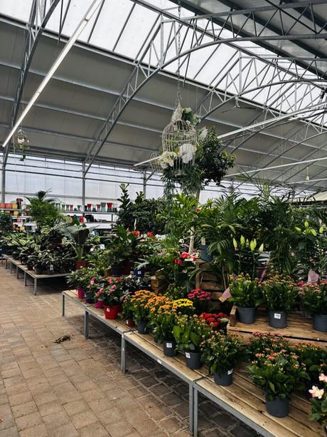 Je vous présente ma nouvelle collaboration, Jardinerie Favennec !