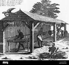 Saint-Domingue : Histoire, Culture et Identité de la Répu...