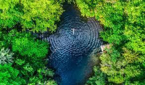 Saint-Domingue : Histoire, Culture et Identité de la Répu...