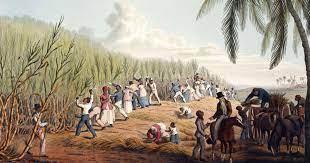 Saint-Domingue : Histoire, Culture et Identité de la Répu...