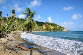 La Dominique : Perle des Caraïbes entre Nature, Culture e...