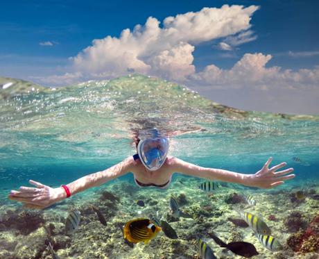 Les Parcs Naturels à Découvrir à l’île Maurice