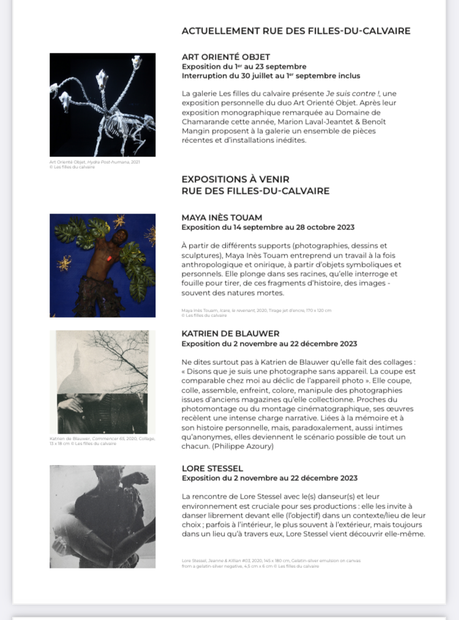 Galerie – Les filles du calvaire – à partir du 12 Octobre 2023.