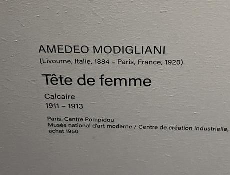 Musée de l’Orangerie   » MODIGLIANI  » à partir du 20 Septembre 2023.