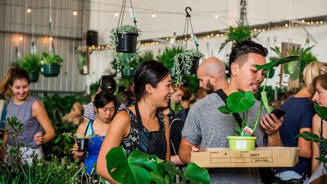 La Race Humaine Au Pédoncule Charnu