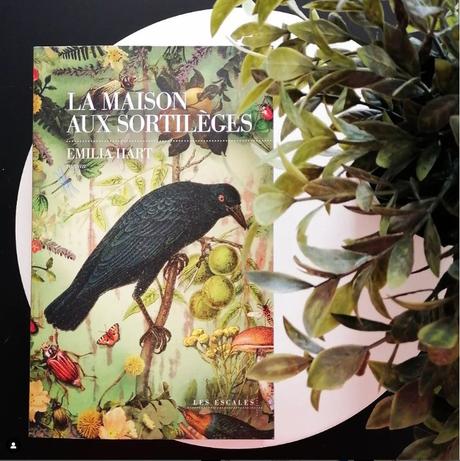 Capture d’écran 2023-07-20 123226