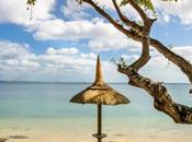 Comment monter business l’île Maurice guide ultime pour expatriés