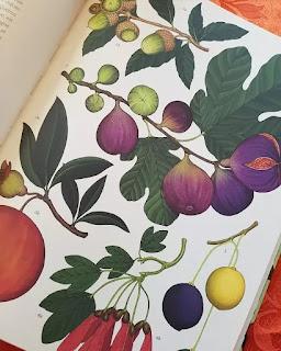 ARBORETUM 💚💚💚